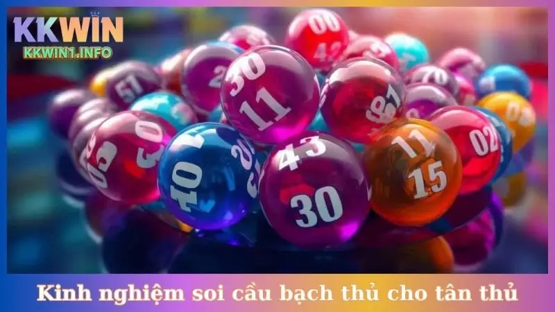 Kinh nghiệm soi cầu bạch thủ cho tân thủ