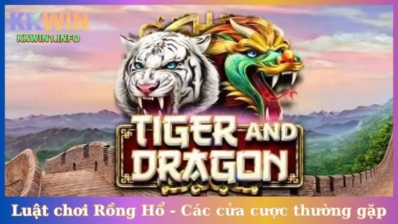 Luật chơi Rồng Hổ - Các cửa cược thường gặp